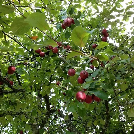 6 Person In Saeby-by Traum בית נופש Sæby