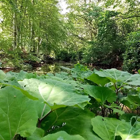 6 Person In Saeby-by Traum בית נופש *