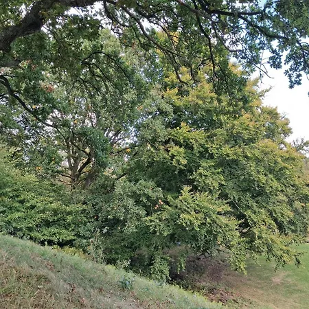 6 Person In Saeby-by Traum בית נופש Sæby