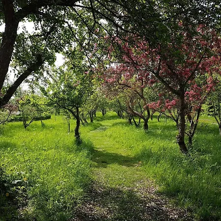 6 Person In Saeby-by Traum בית נופש *