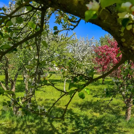 בית נופש 6 Person In Saeby-by Traum Sæby