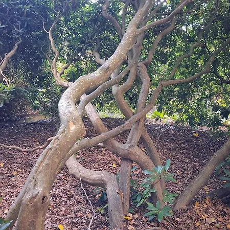 6 Person In Saeby-by Traum