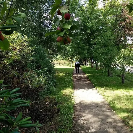 בית נופש 6 Person In Saeby-by Traum