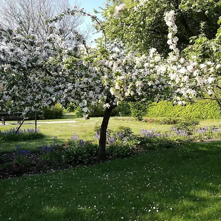 בית נופש 6 Person In Saeby-by Traum Sæby