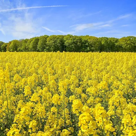 6 Person In Saeby-by Traum *