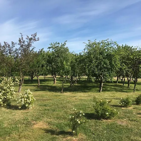 6 Person In Saeby-by Traum * Sæby