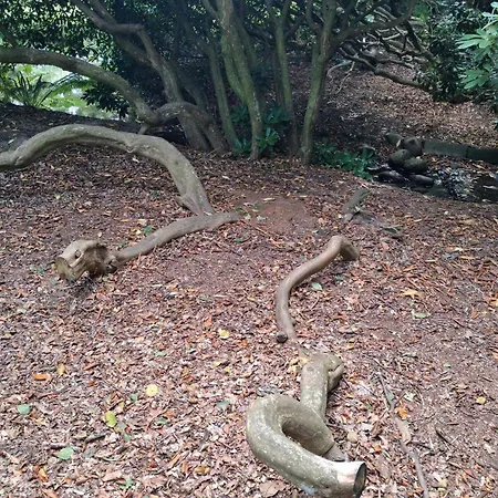 בית נופש 6 Person In Saeby-by Traum Sæby