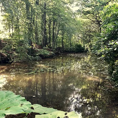 6 Person In Saeby-by Traum